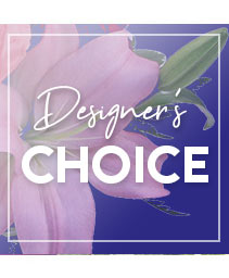 Send Beauty Designer's Choice